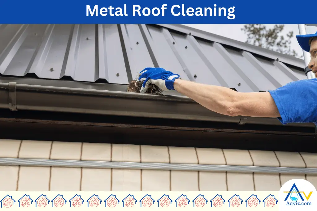 Metal Roof Cleaning