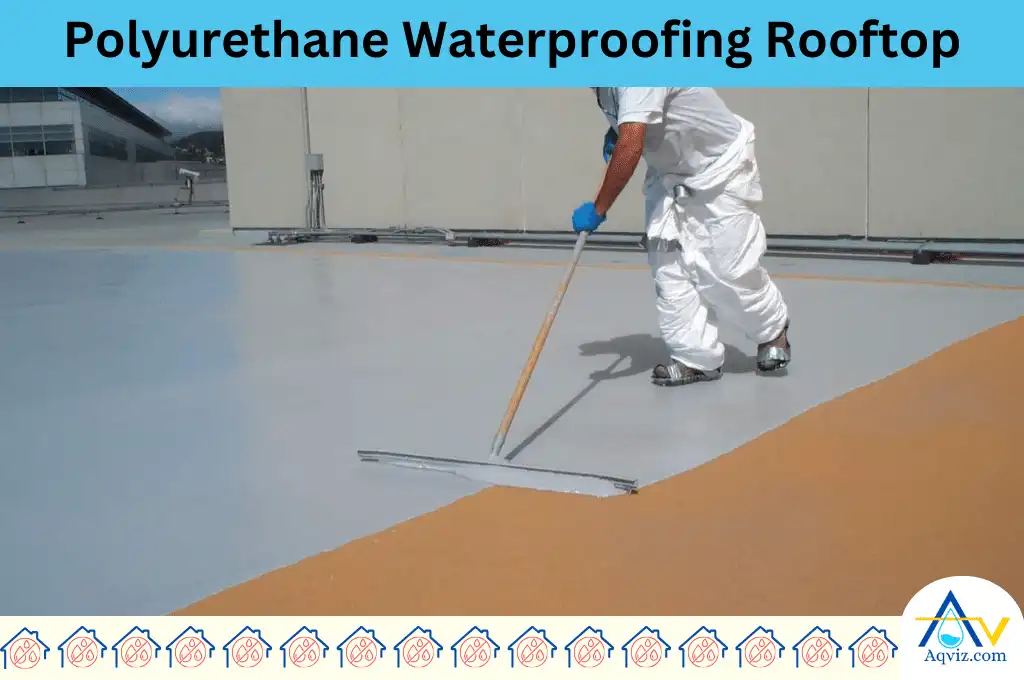 Polyurethane Waterproofing Rooftop