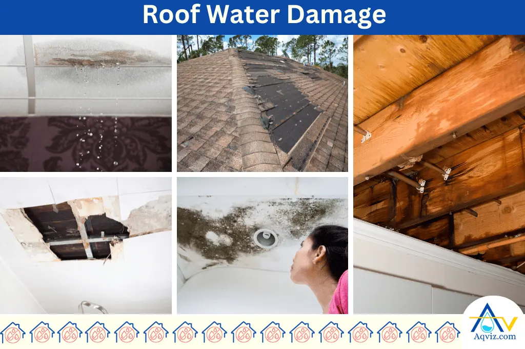 Roof Water Damage