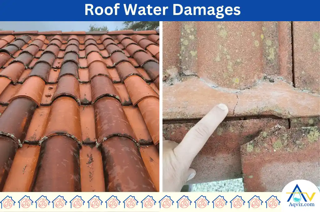 Roof Water Damages
