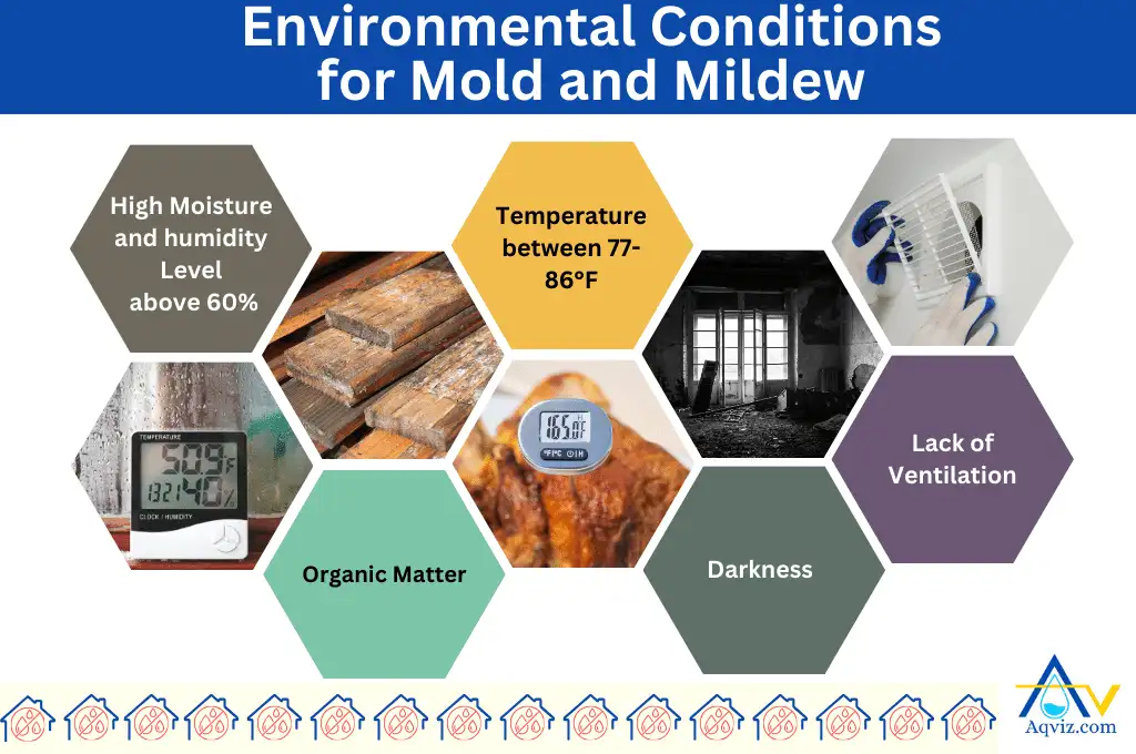Environmental Conditions Mold Mildew