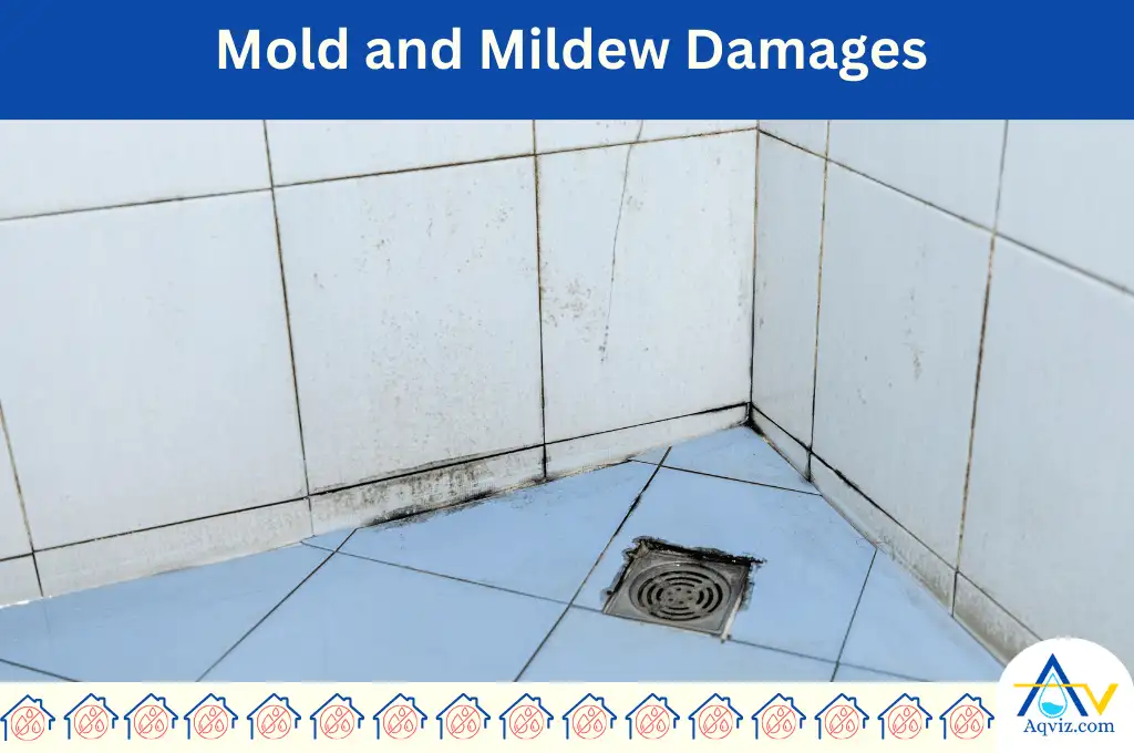 Mold and Mildew Growth and House Problems
