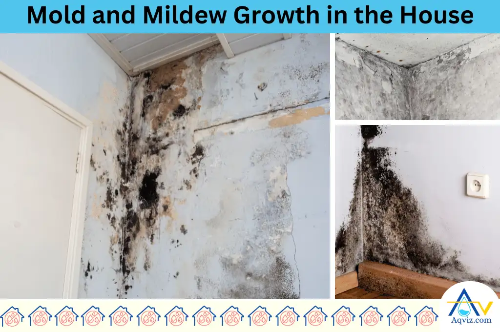 Mold and mildew
