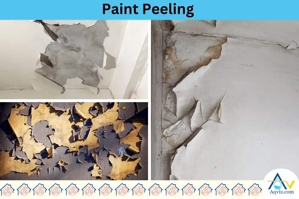 Paint Peeling