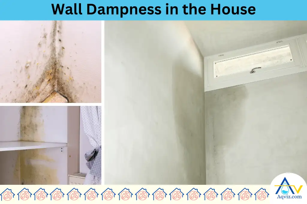 Wall dampness