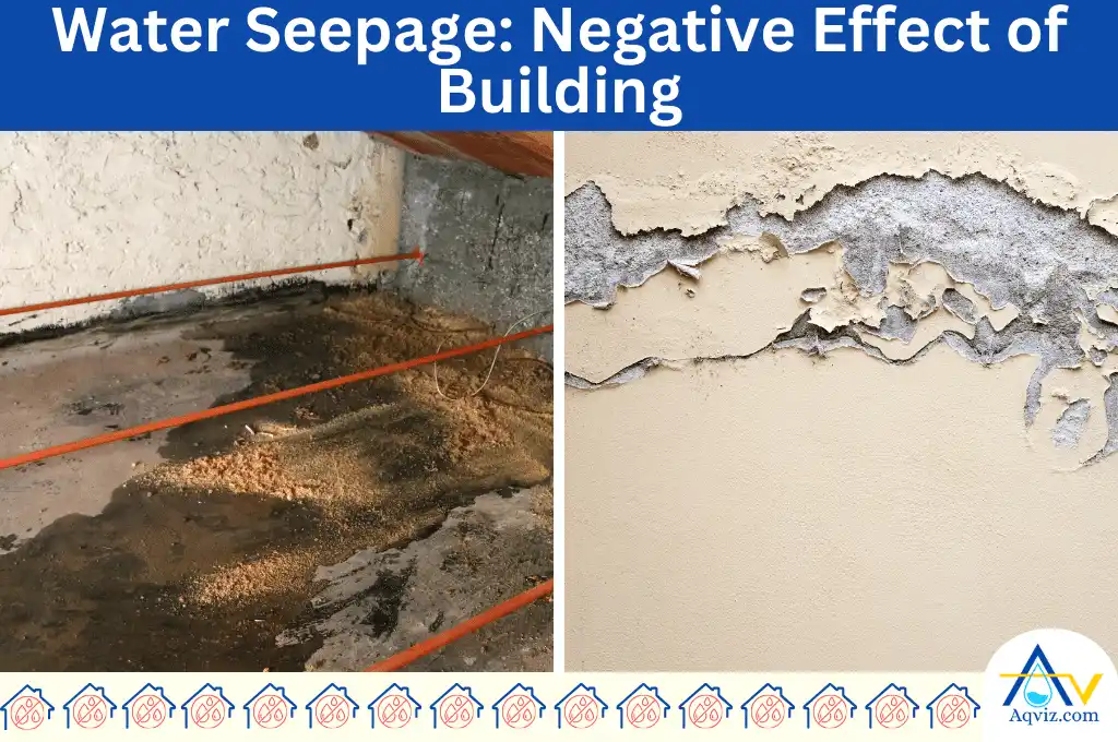 Water-Seepage