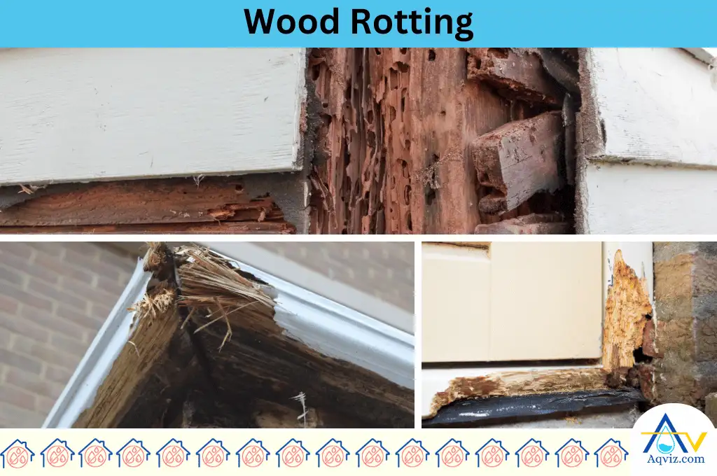Wood rotting