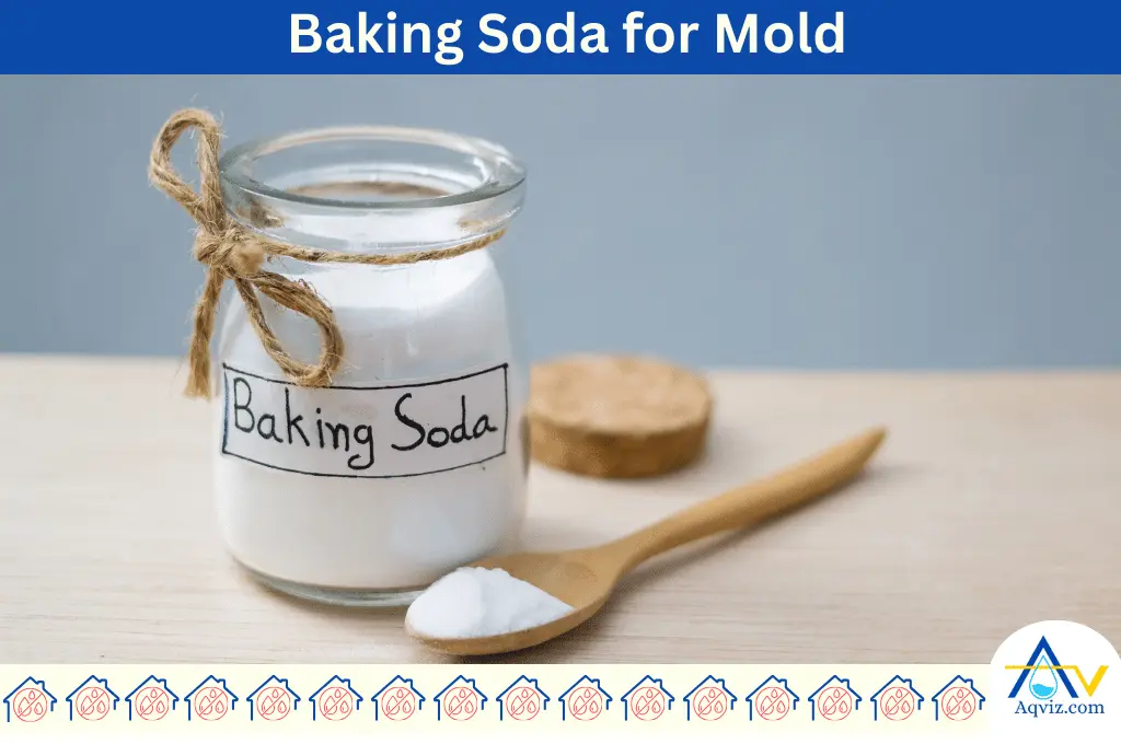 Mold cleaning Baking Soda