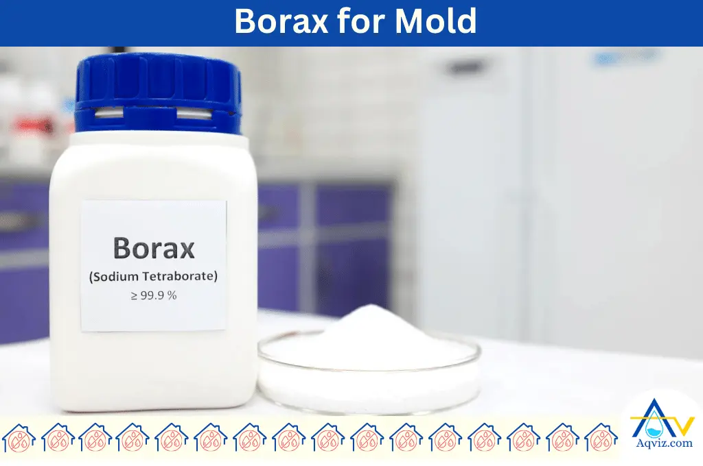 Mold cleaning Borax