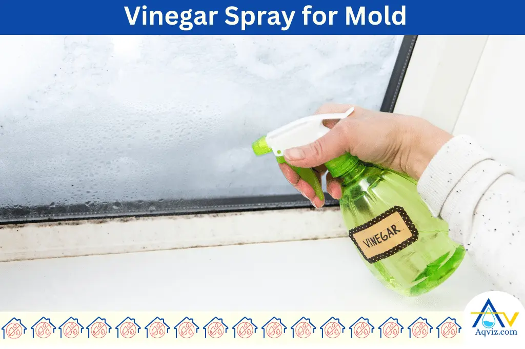 Mold cleaning Vinegar Spray