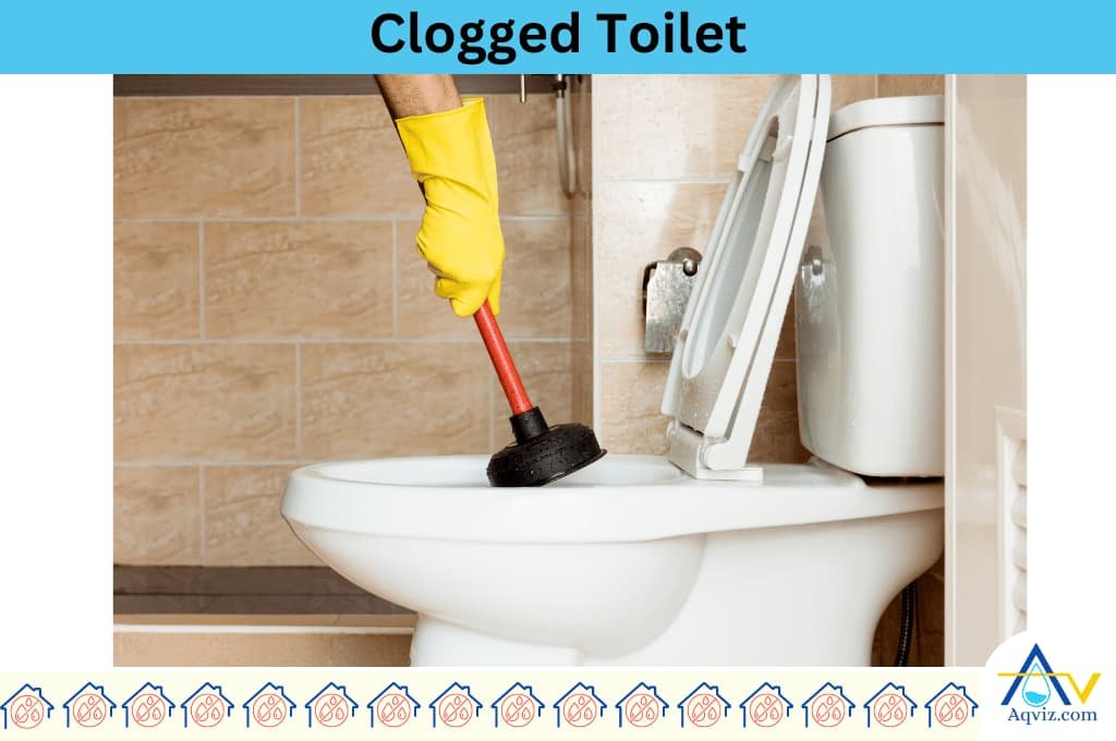 Clogged Toilet