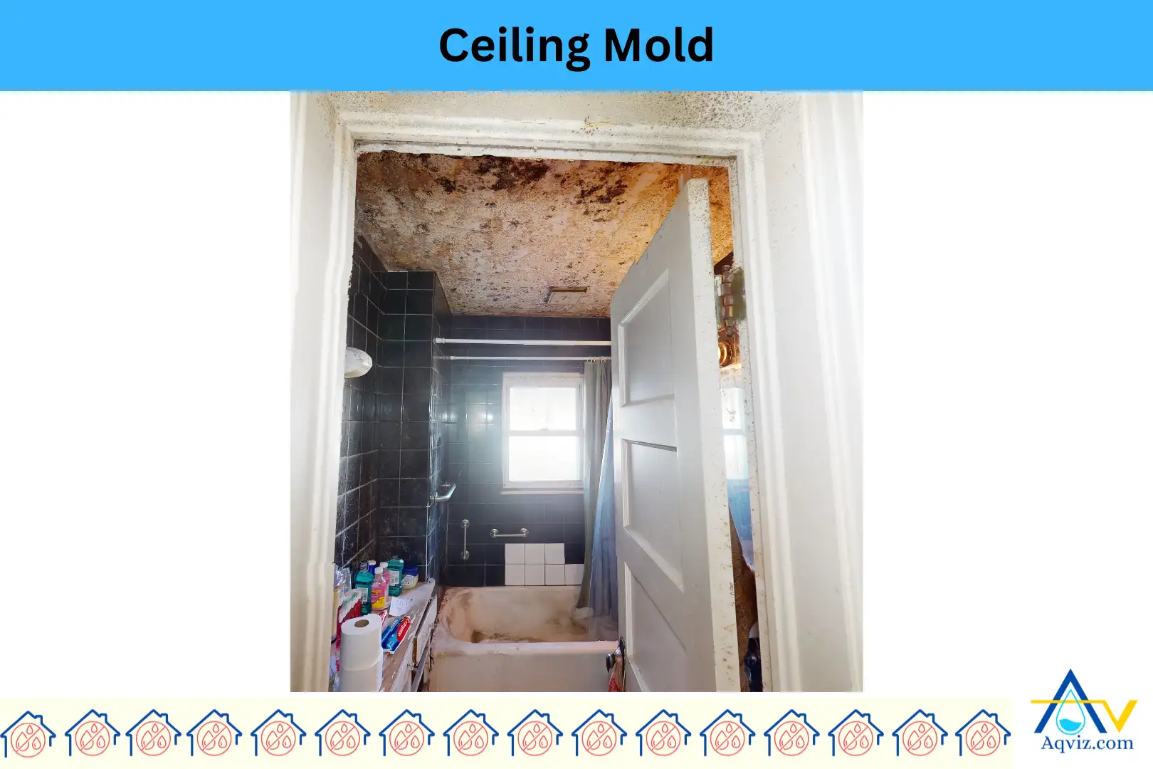 Ceiling-Mold-Bathroom