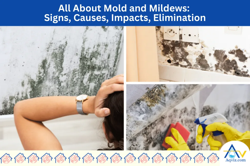 Mold-Mildew-Growth