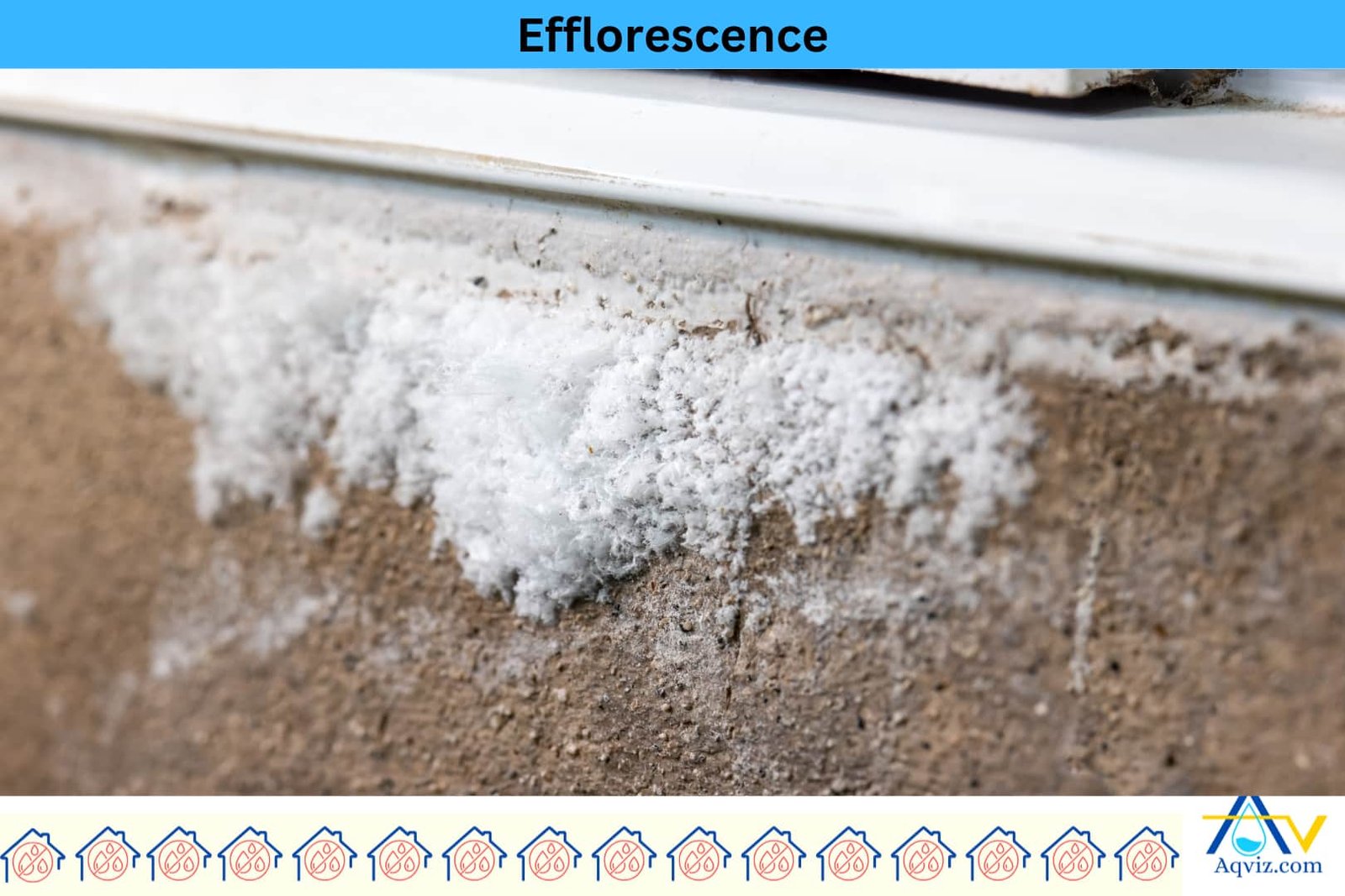 Efflorescence