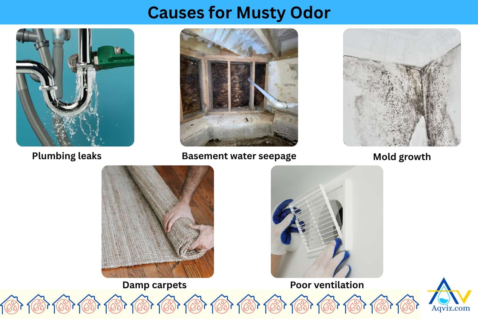 Musty-Odor-Causes