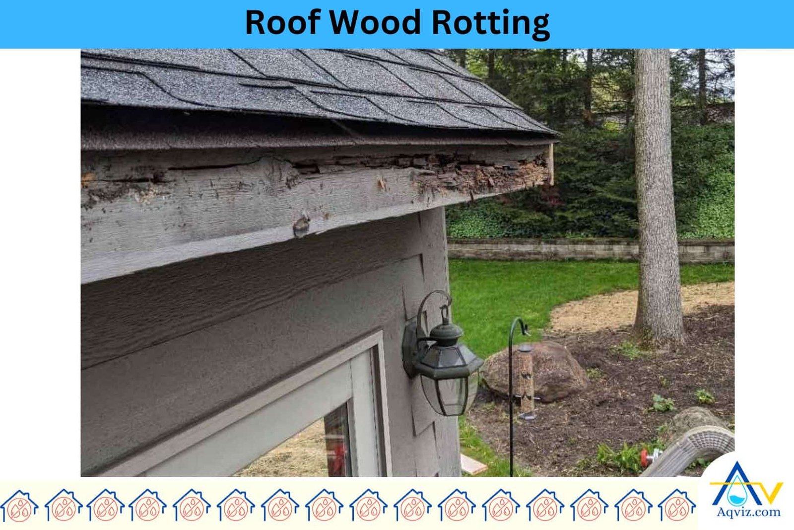 Roof-Wood-Rotting