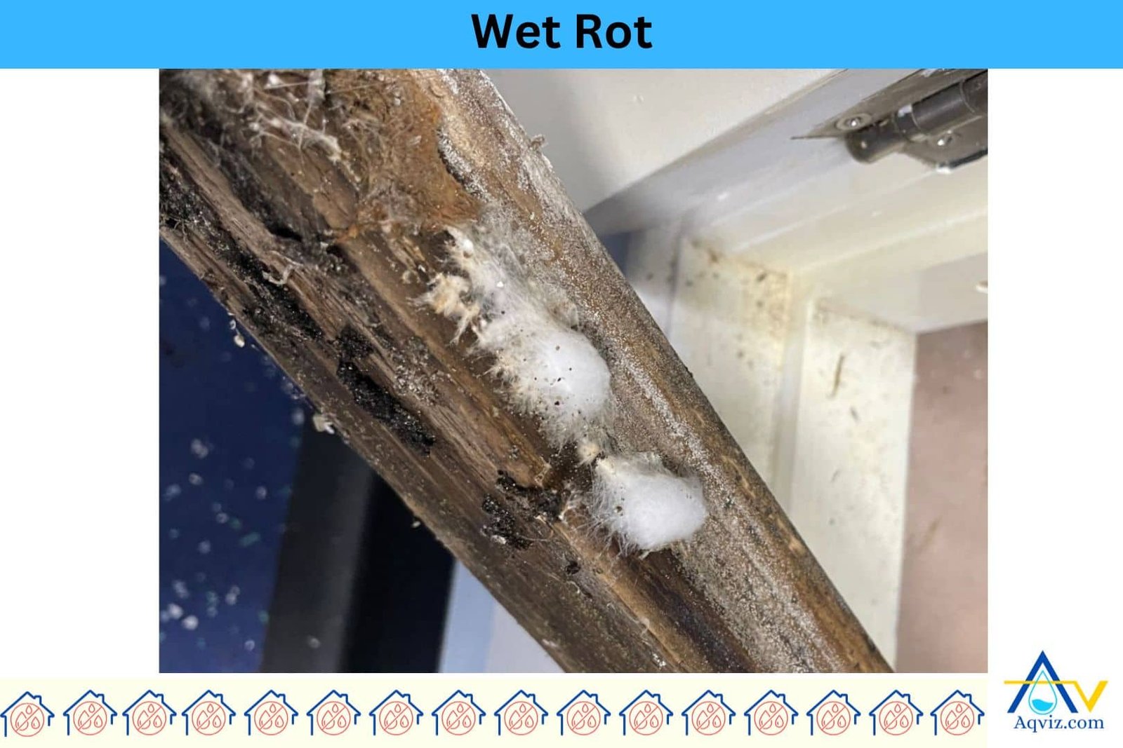 Wet-Rot