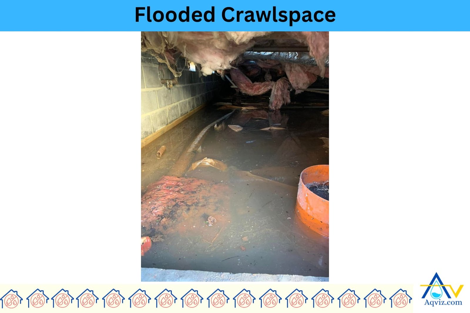 crawlspace-mold-1