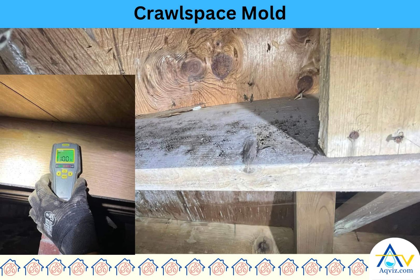 crawlspace-mold-humidity