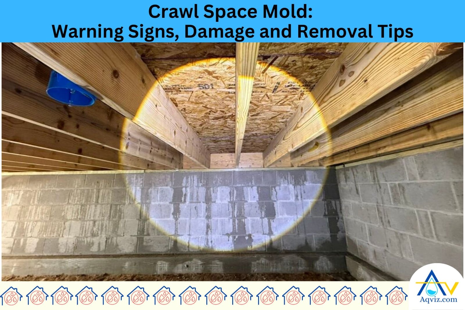 crawlspace-mold-mildew