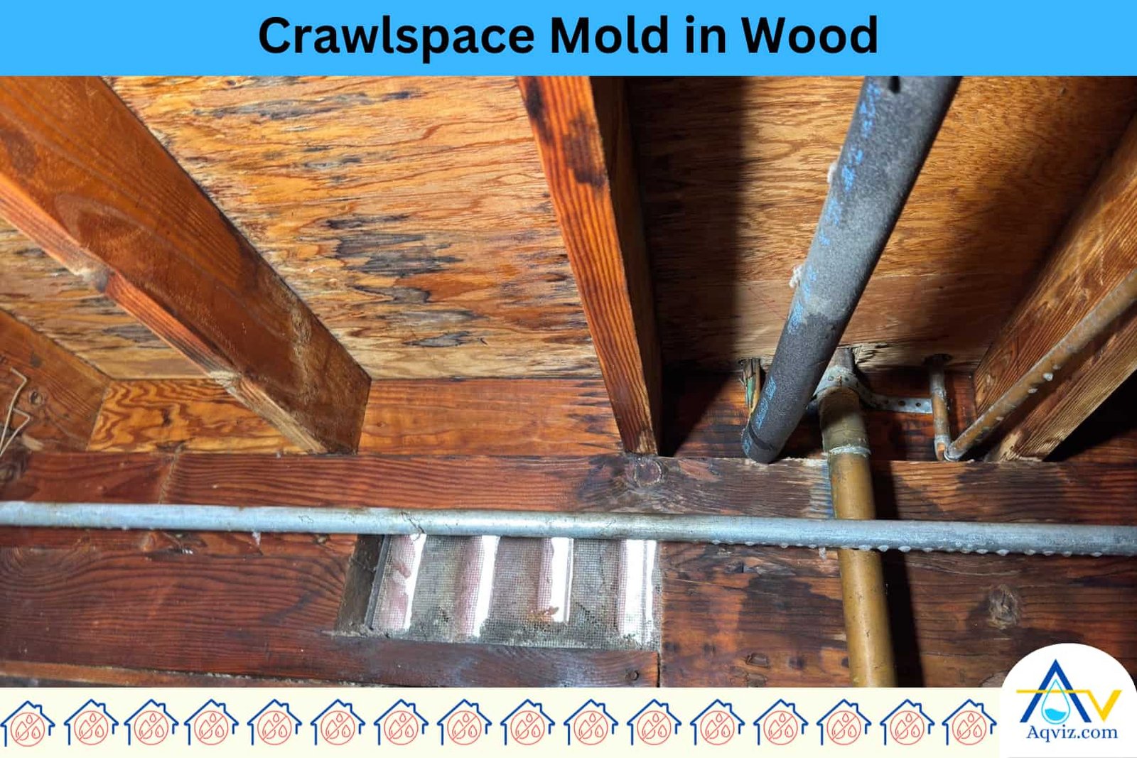 crawlspace-wood-mold