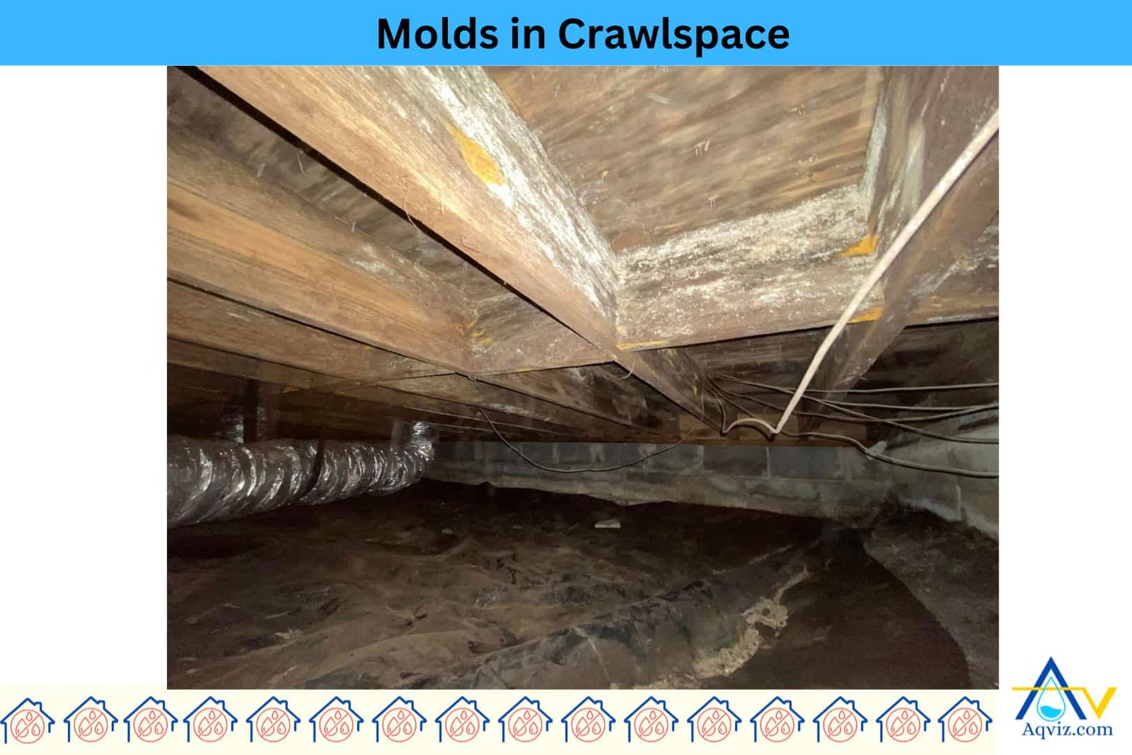 crawlspace-encapsulation-mold