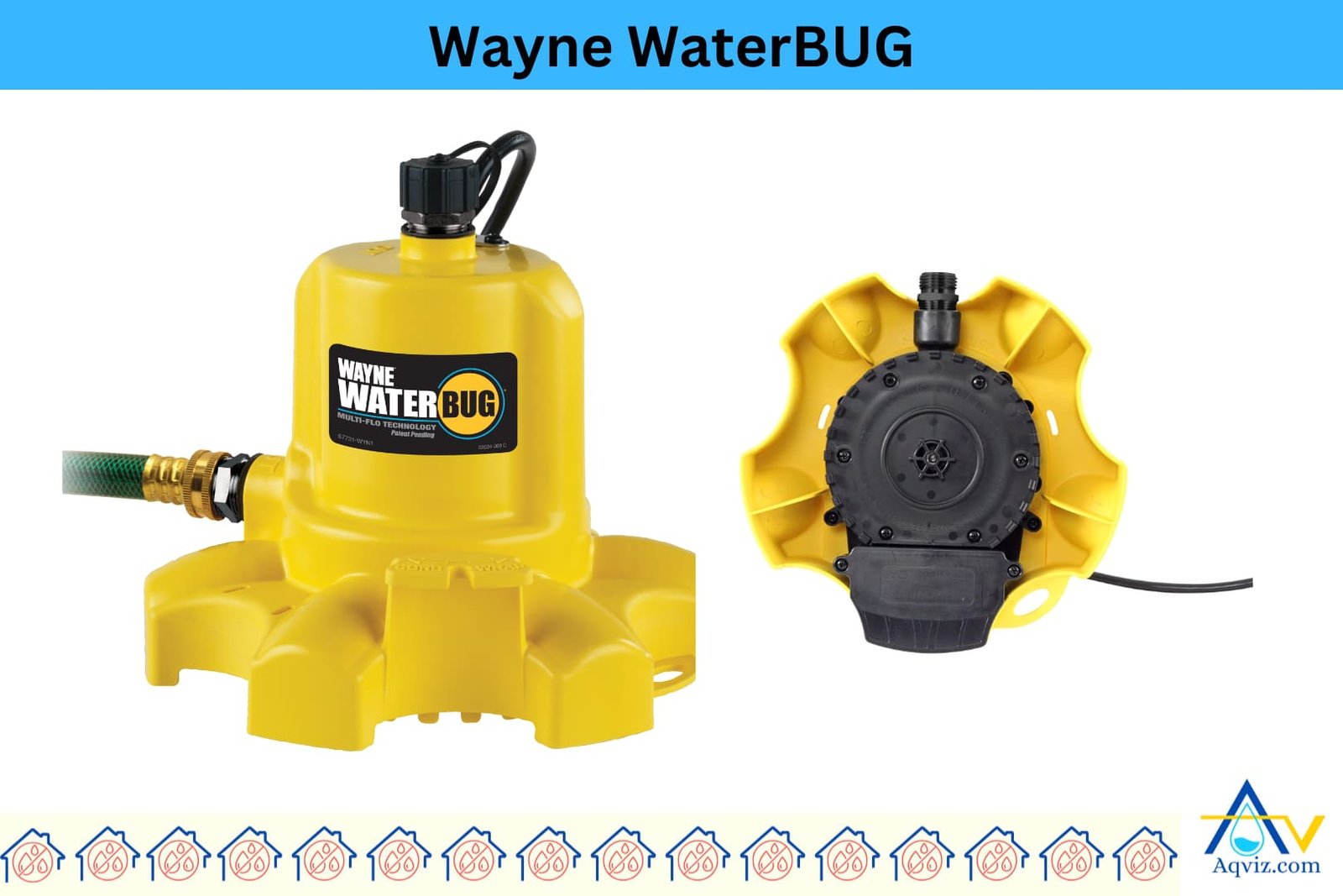 Wayne-WaterBUG