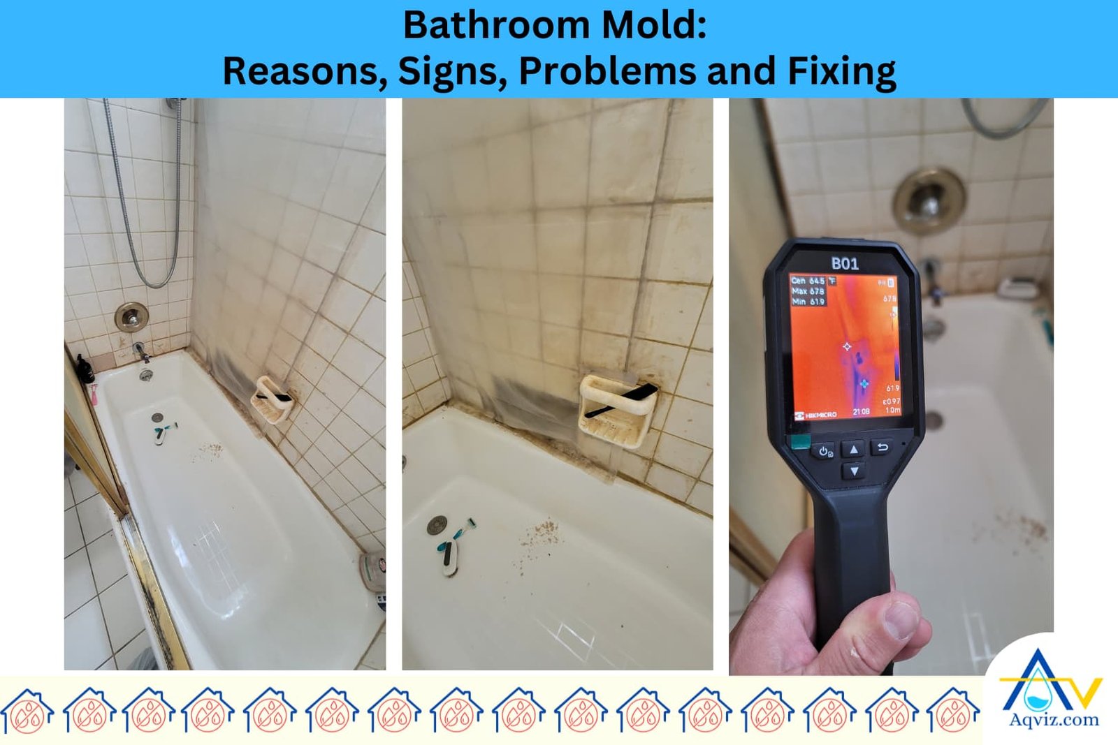 bathroom-mold
