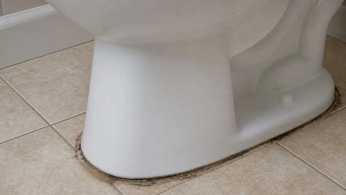 Leaking Toilet Connections
