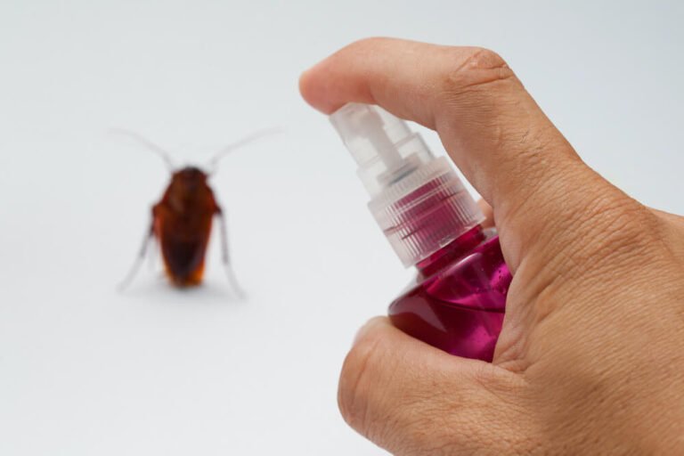 How to Get Rid of Roaches Overnight: Home Remedies That Actually Work