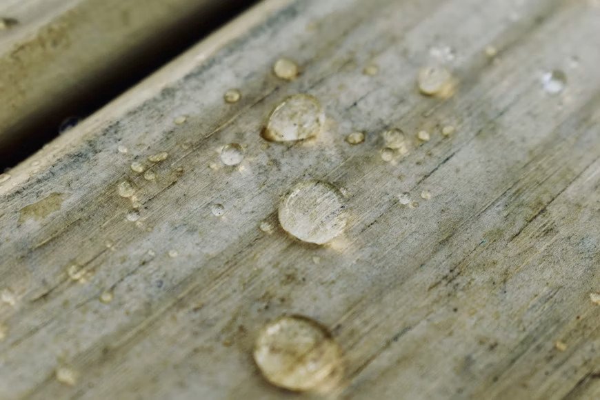Limescale, Mould, and Water Staining: What Removal Costs Across an Entire Home