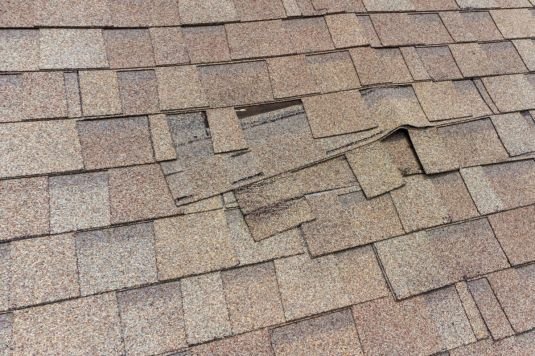Signs You Need Roof Leak