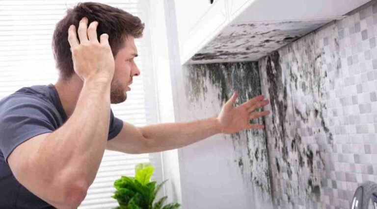 How Routine Deep Cleaning Protects Your Home from Moisture Damage and Mould