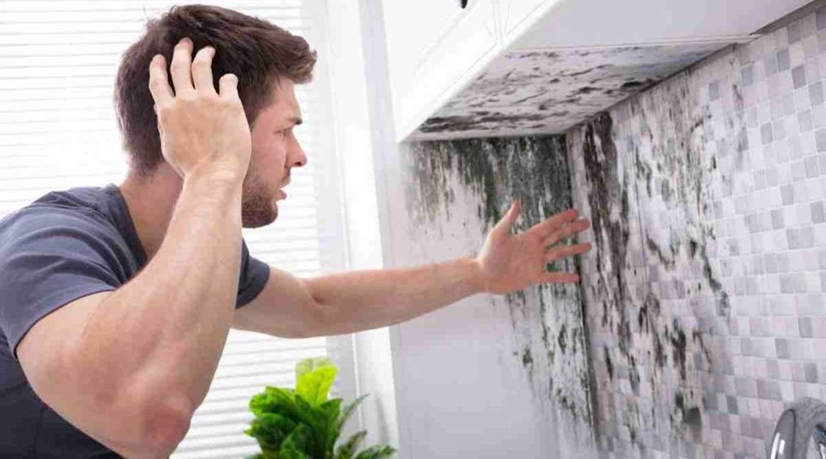 How Routine Deep Cleaning Protects Your Home from Moisture Damage and Mould