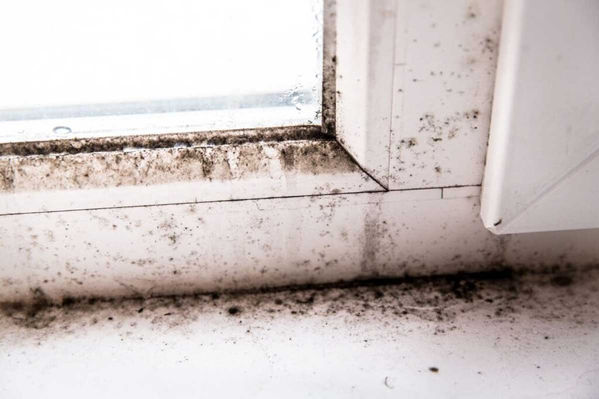 Window Wells