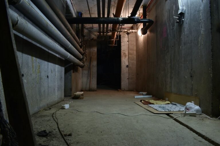 Best Crawl Space Dehumidifier: Sizing, Picks, and Lifespan