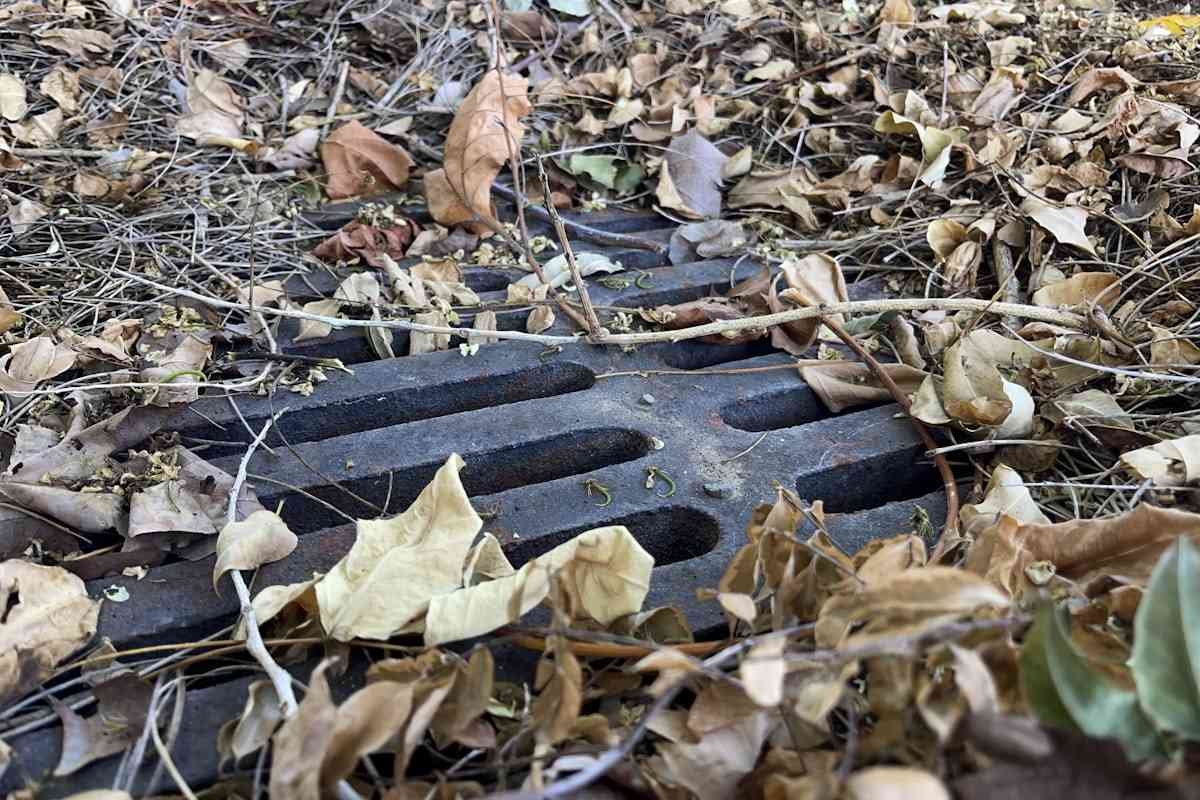 Catch Basin for Yard Drainage: Size, Install, and Problems