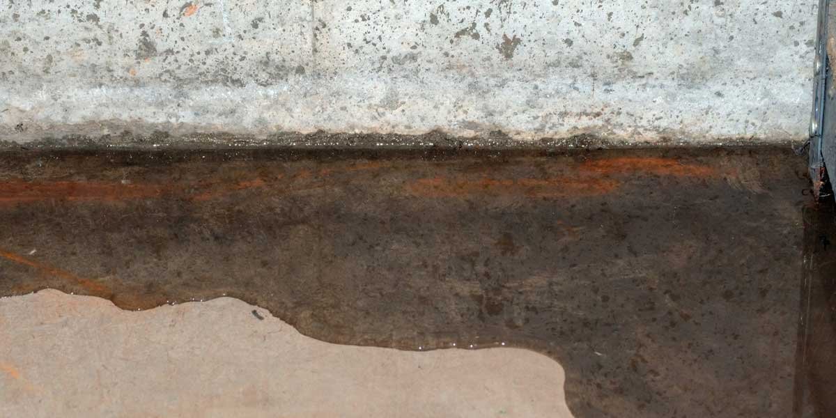Basement Leaking Water When It Rains: Causes and Fixes