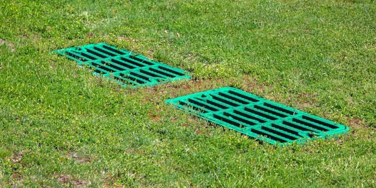 Dry Well vs French Drain: What Decides It Before Price