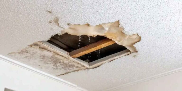 Garage Ceiling Leak: Trace the Source Before You Patch
