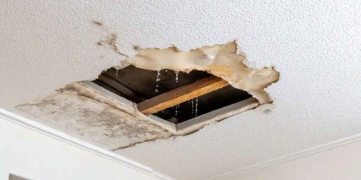 Garage Ceiling Leak: Trace the Source Before You Patch