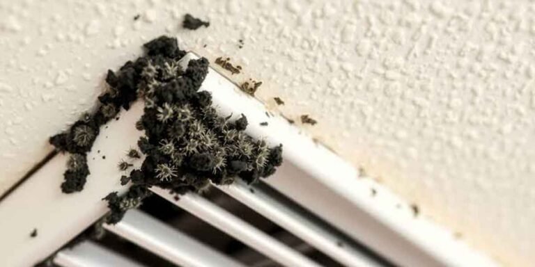 Mold in Air Ducts: When Cleaning Is Worth Paying For