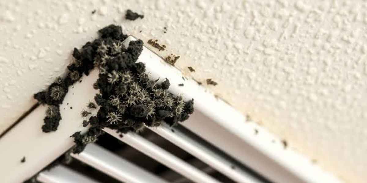 Mold in Air Ducts: When Cleaning Is Worth Paying For